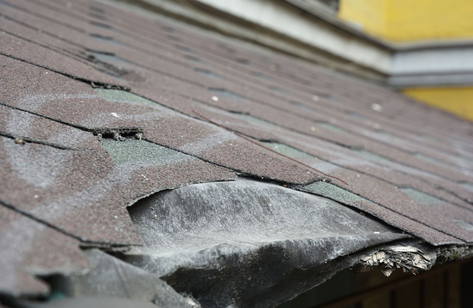 A-1 Roofing Solutions Images