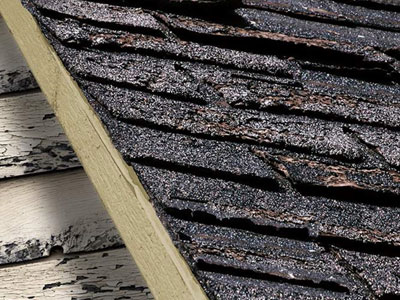 A-1 Roofing Solutions Images